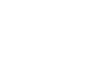 Flavour Beast